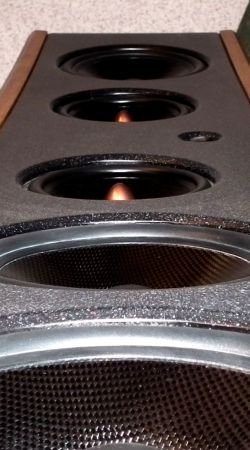 Clarus Luna Clarus Luna