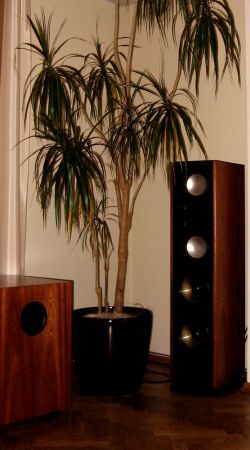 Clarus Titan Pro Clarus Titan Pro