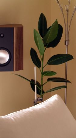 Clarus Surround Clarus Surround