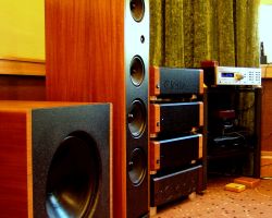 Clarus mozi Clarus mozi