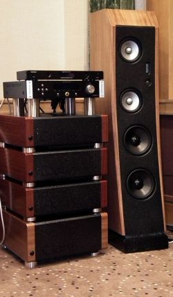 Clarus mozi Clarus mozi